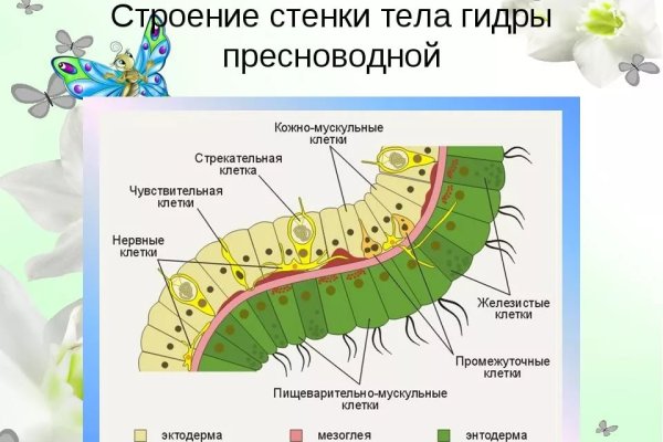 Кракен даркет